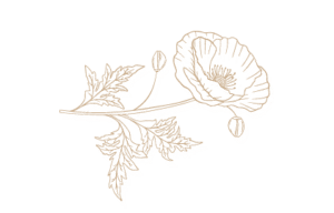 Terraza Jardín Florencia Eventos Sociales, Bodas y Celebraciones en Vista Hermosa Monterrey